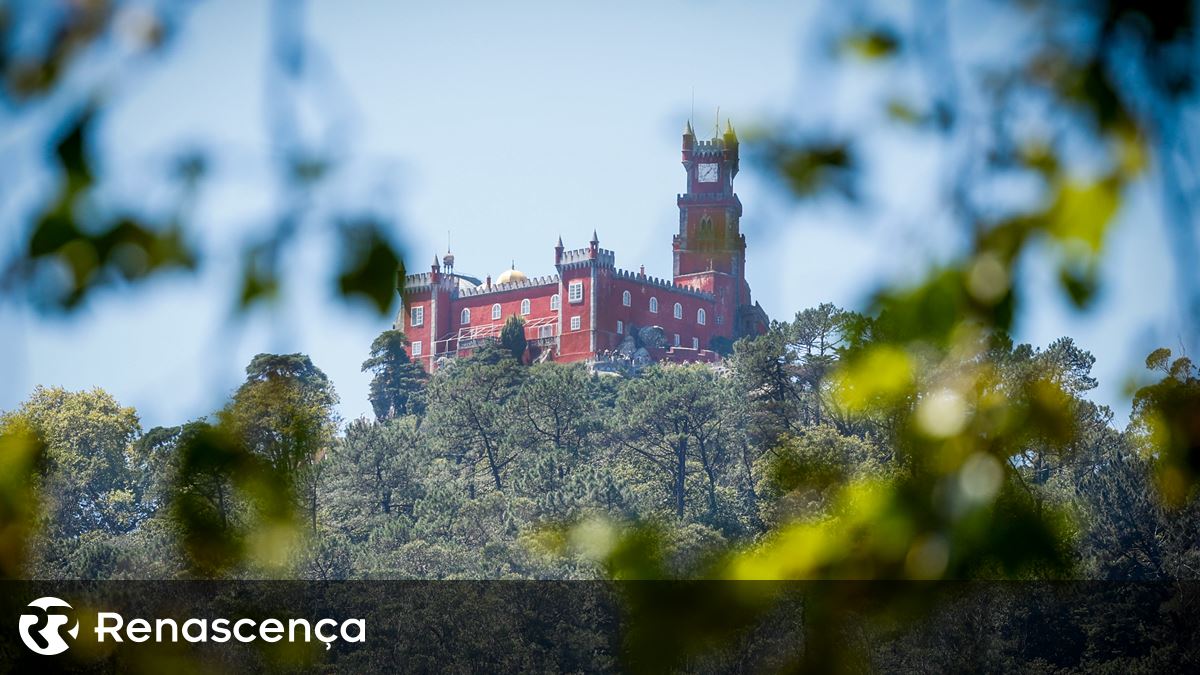 Roubados dois jarrões de "valor elevado" do Palácio de Monserrate em Sintra