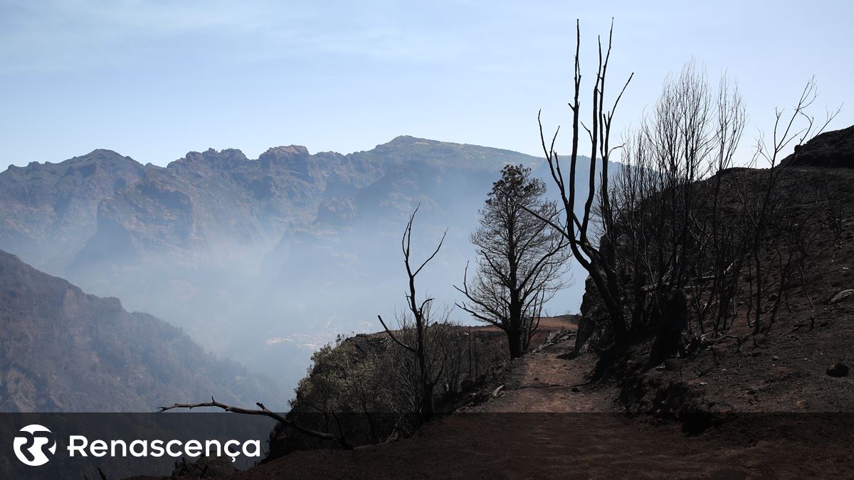 Madeira. Autarca da Ribeira Brava quer mais meios de combate a fogos em zonas sensíveis