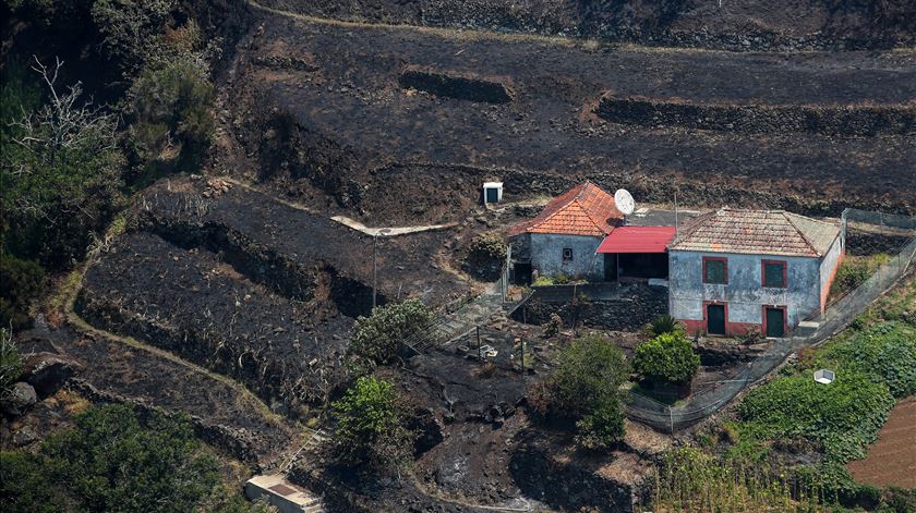 Madeira regista 4.392 hectares de área ardida desde início do incêndio