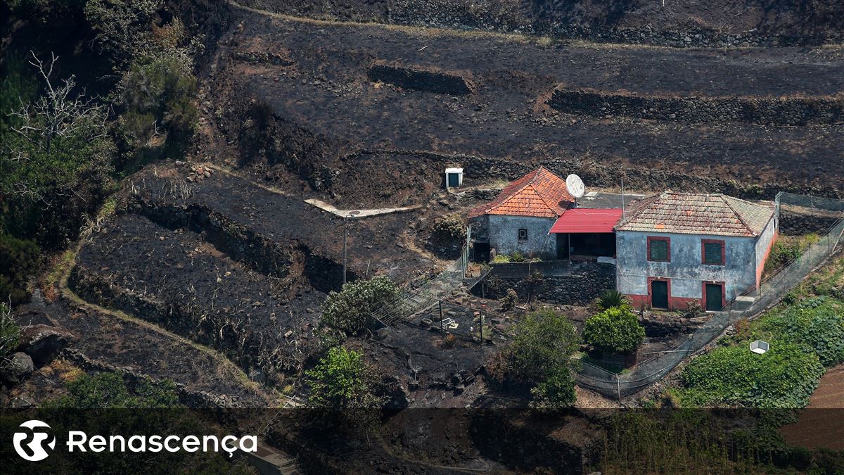 Incêndios na Madeira. Tudo o que sabemos até agora