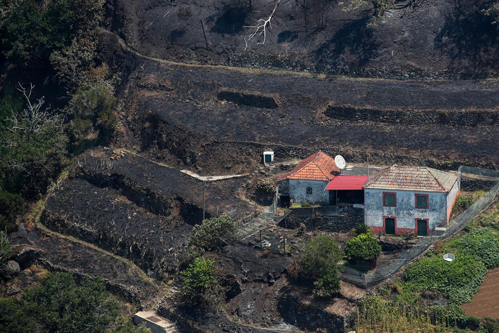 Autarca da Ribeira Brava denuncia fogo posto