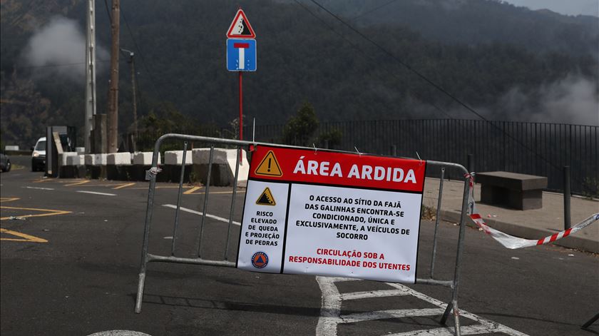 Incêndios na Madeira. Autarca descreve cenário "desolador" e defende reforço de meios aéreos