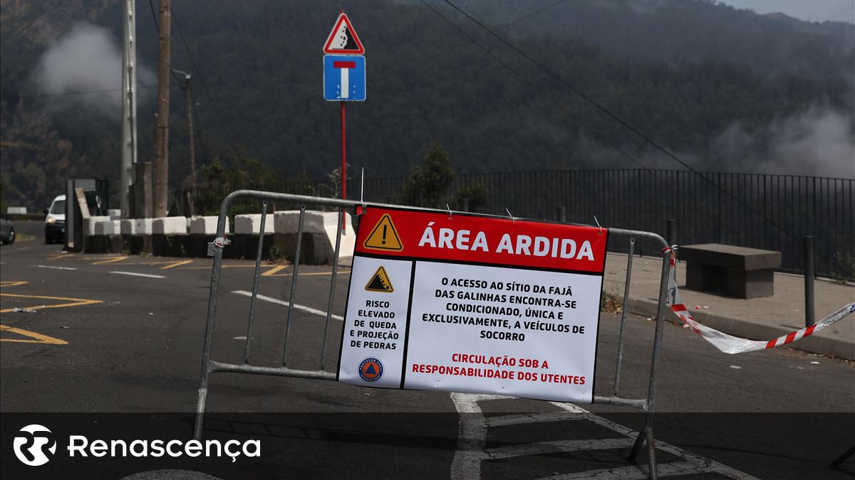 Incêndios na Madeira. Autarca descreve cenário "desolador" e defende reforço de meios aéreos