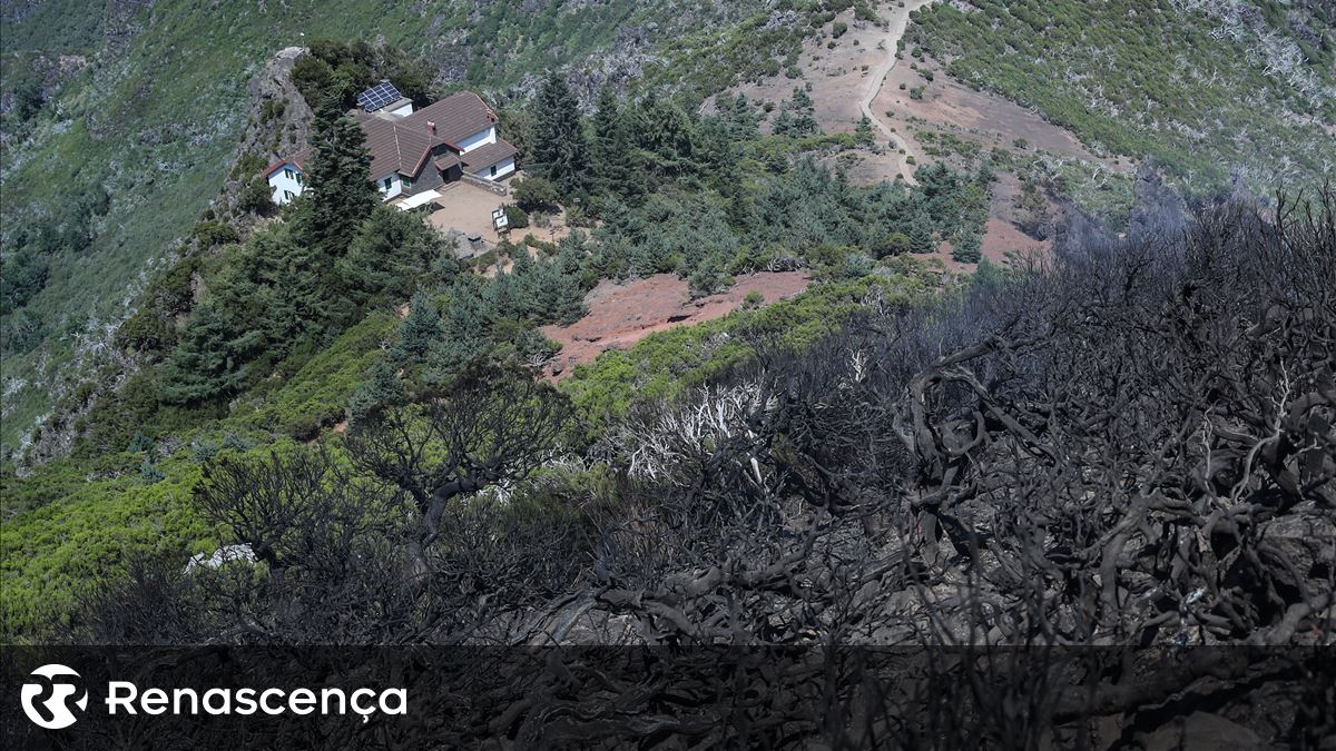 Incêndio na Madeira consumiu mais de 4.930 hectares em oito dias