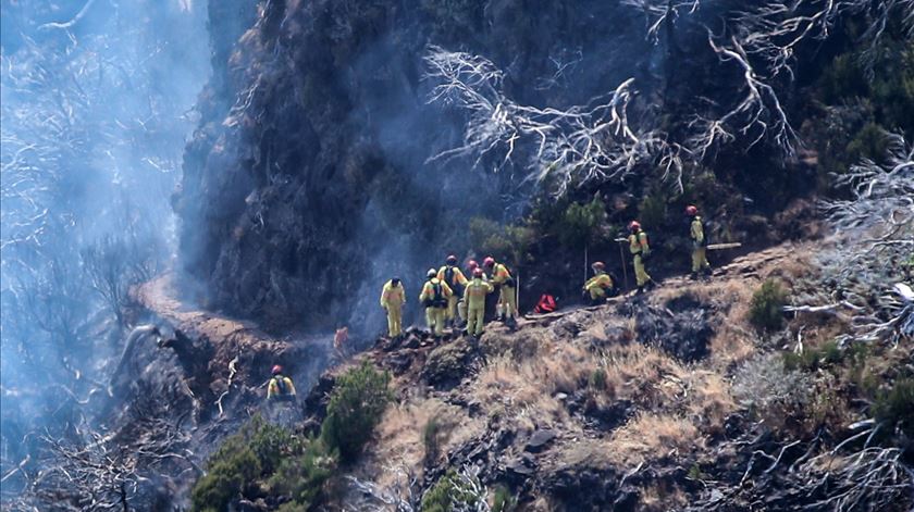 Incêndios na Madeira. "A parte fundamental da Floresta Laurissilva não foi afetada"