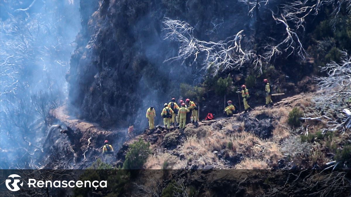 Incêndios na Madeira. "A parte fundamental da Floresta Laurissilva não foi afetada"