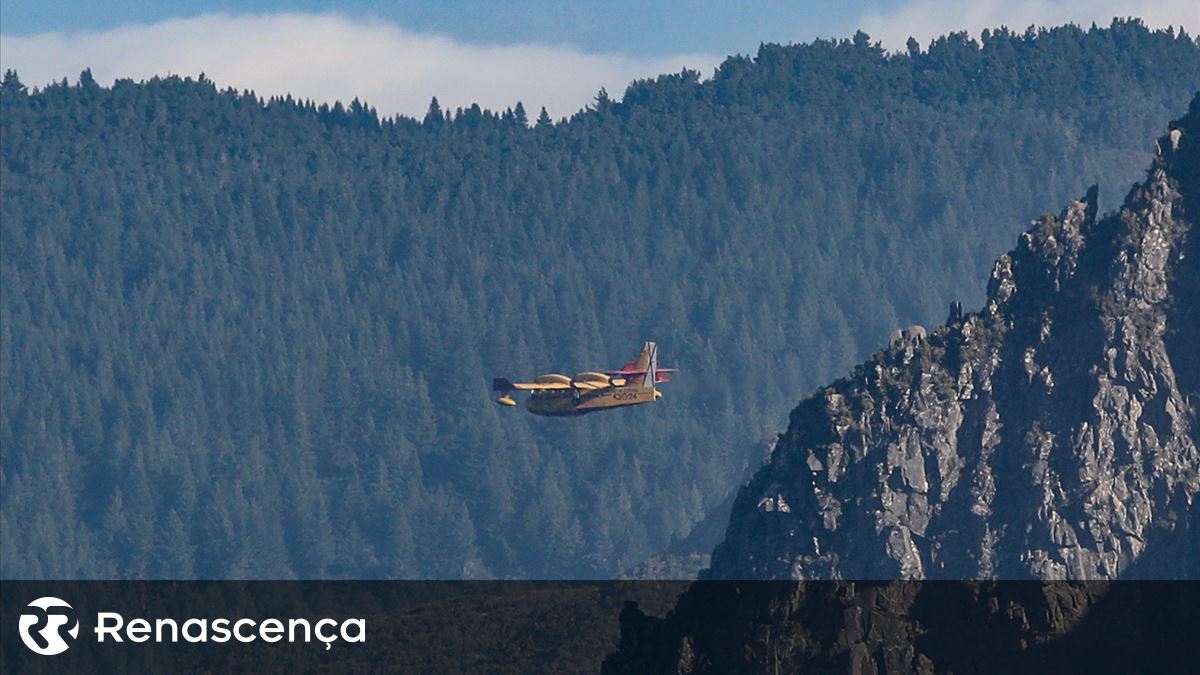 Região diz estar à espera que um segundo meio aéreo seja garantido pelo Estado