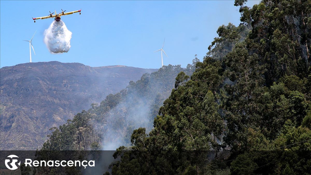 Incêndios na Madeira. PS pede audição urgente da ministra da Administração Interna