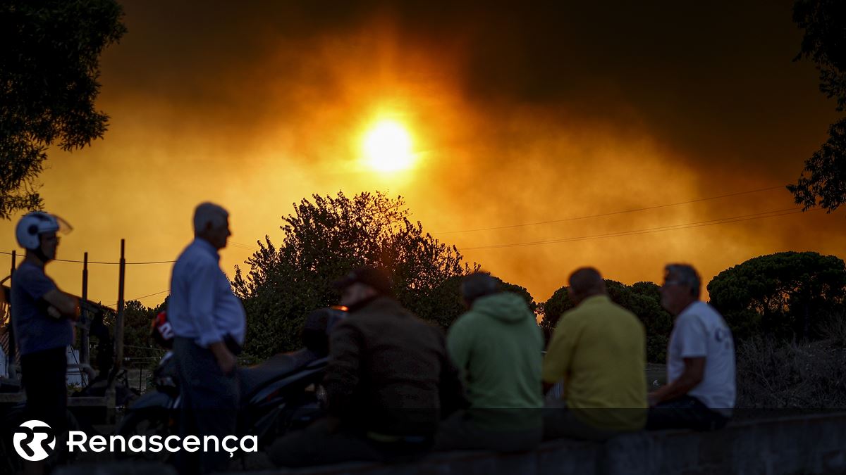 Incêndios. Dois feridos graves em Nelas e uma aldeia em perigo em Mangualde