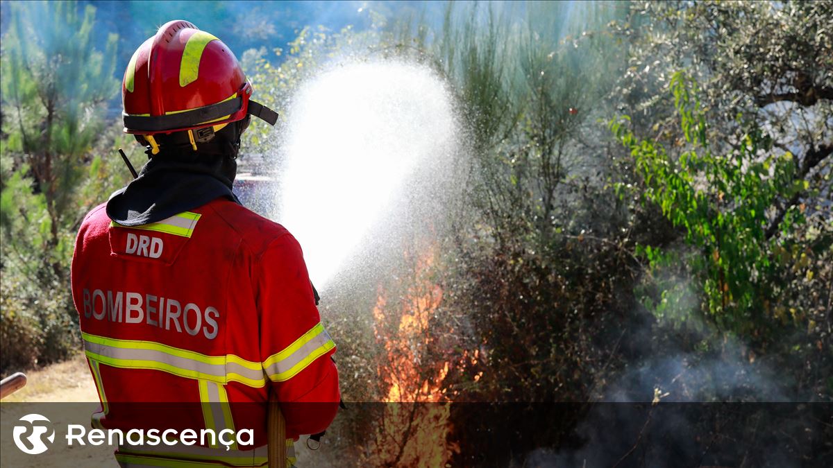 Bombeiros protegem casas próximo da área urbana de Coimbra