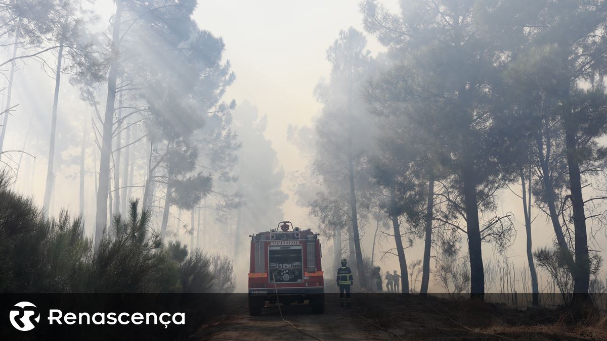 Incêndios. Chuva pode provocar deslizamento de terras na próxima semana