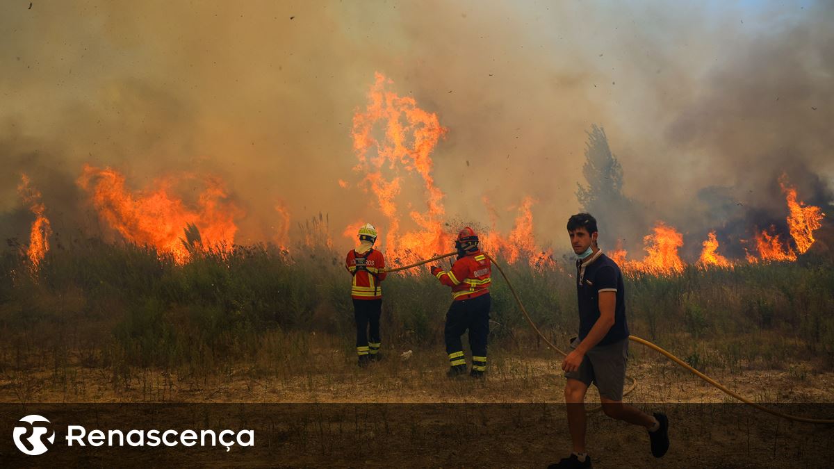 Jovem de 25 anos detido por suspeita de atear fogo florestal em Gondomar