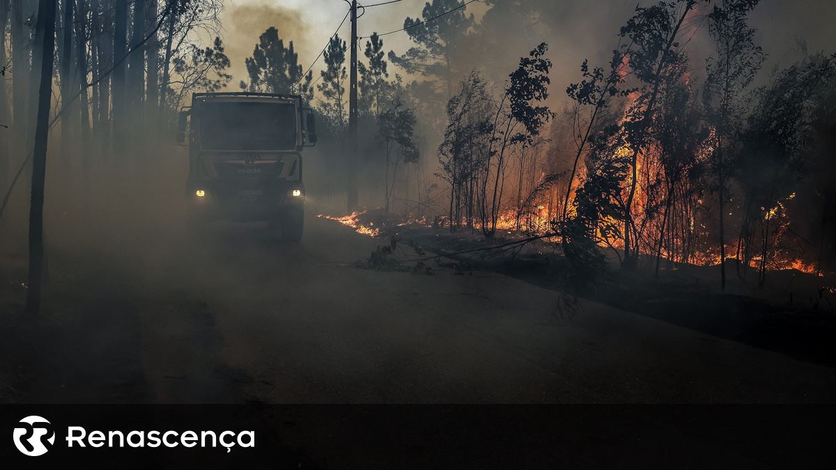 Incêndios em Aveiro consumiram o equivalente à cidade de Lisboa. Situação de alerta prolongada