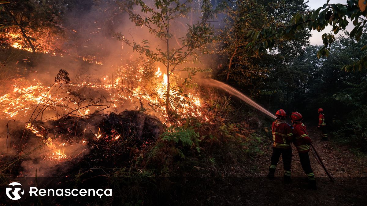 Incêndios. Autarca de Vila Pouca de Aguiar quer esclarecimentos por omissão de auxílio