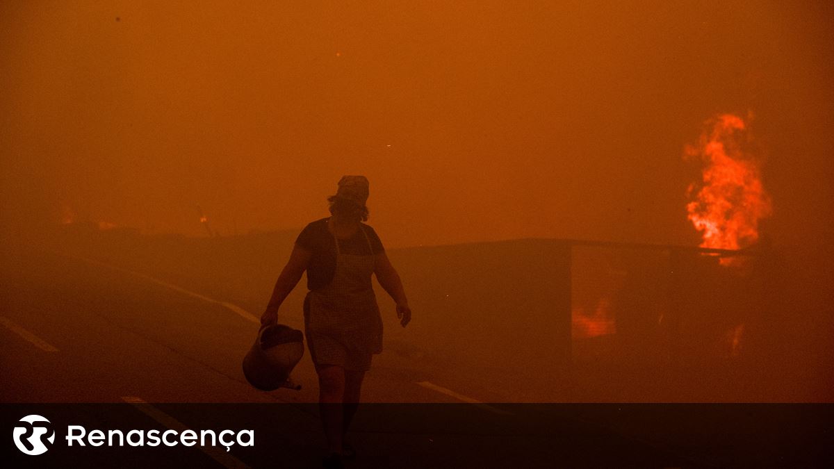 PCP acusa PS, PSD e CDS-PP de chorarem "lágrimas de crocodilo" por causa dos incêndios