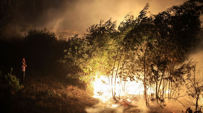 Autarca de Águeda critica atuação no combate aos incêndios e pede mais eficácia