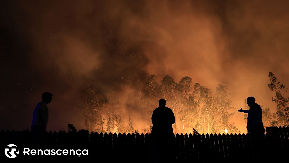 Chuva ajuda em Castro Daire. Um incêndio tem "10 frentes ativas"