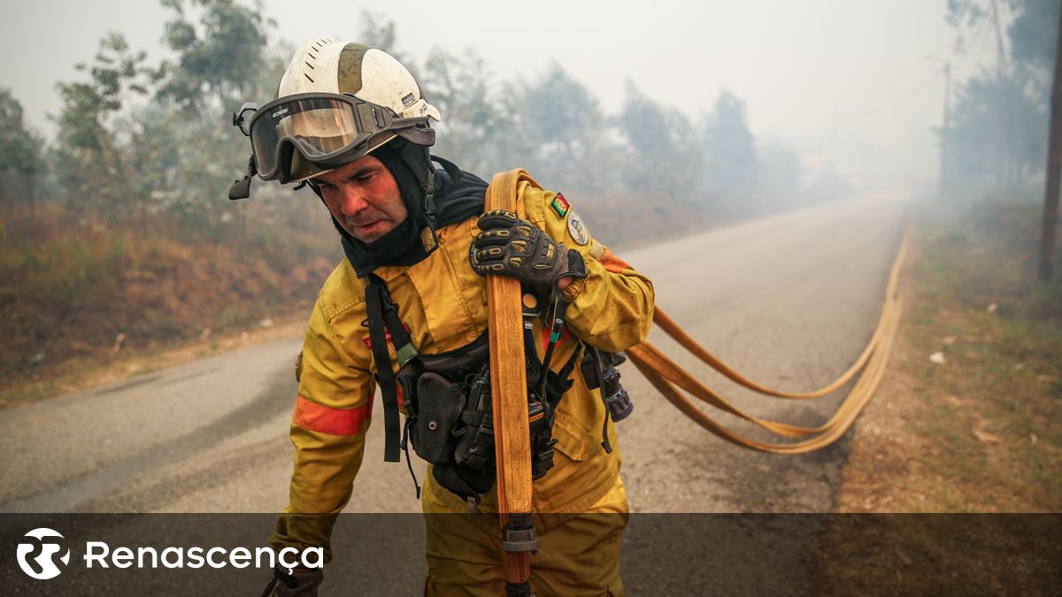 ​Incêndios. “Fui enganado pelo menos três vezes. Disseram-me que vinham para cá e não vieram”.