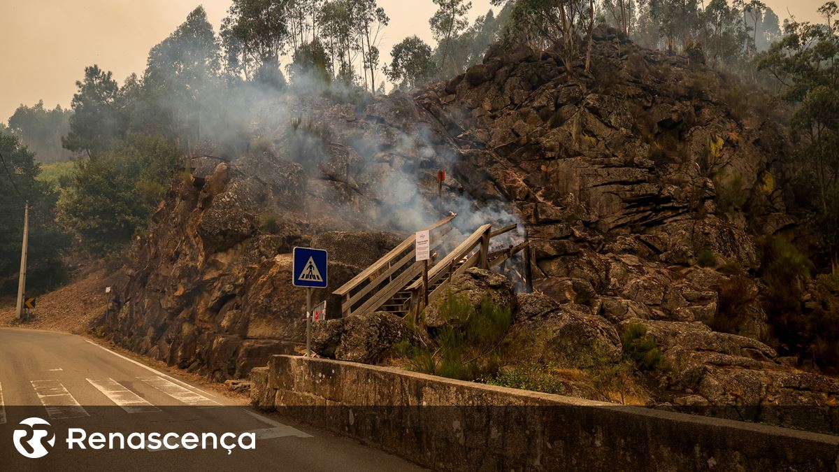 Incêndios. Ministra diz que não recebeu telefonema da autarca de Arouca