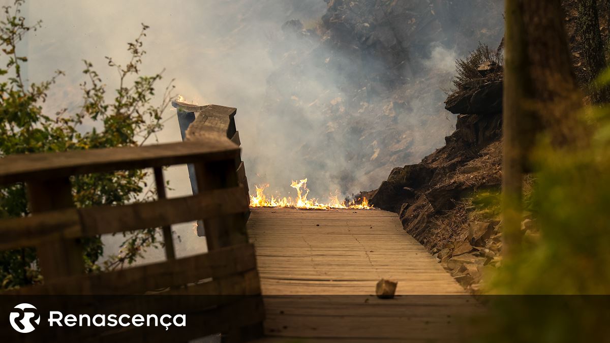 Incêndios. MAI estava com o "telemóvel desligado" acusa autarca de Arouca