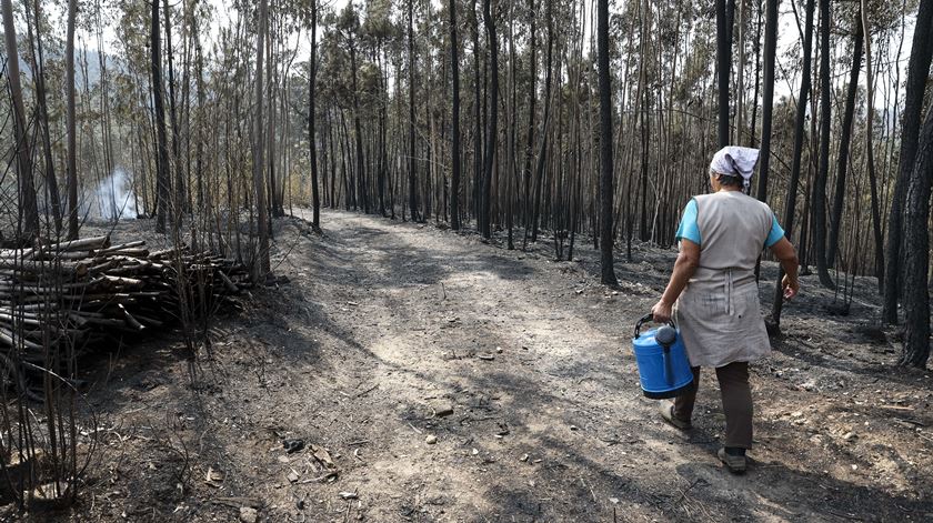 Apoios para reconstruir casas e subsídios a agricultores. As medidas do Governo aos afetados pelos incêndios