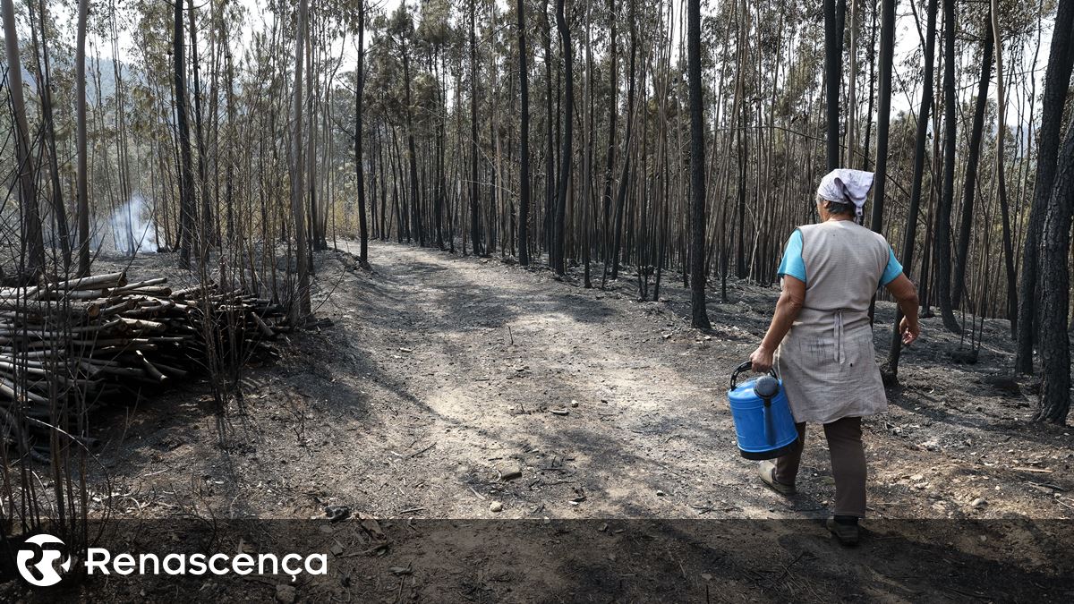 Grandes incêndios dominados. Proteção Civil agradece a quem combateu os fogos