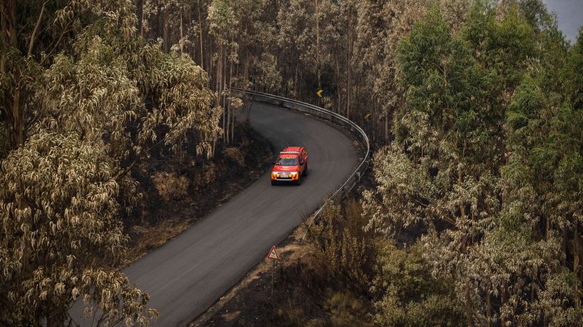 “Não há solução” para evitar o flagelo dos incêndios