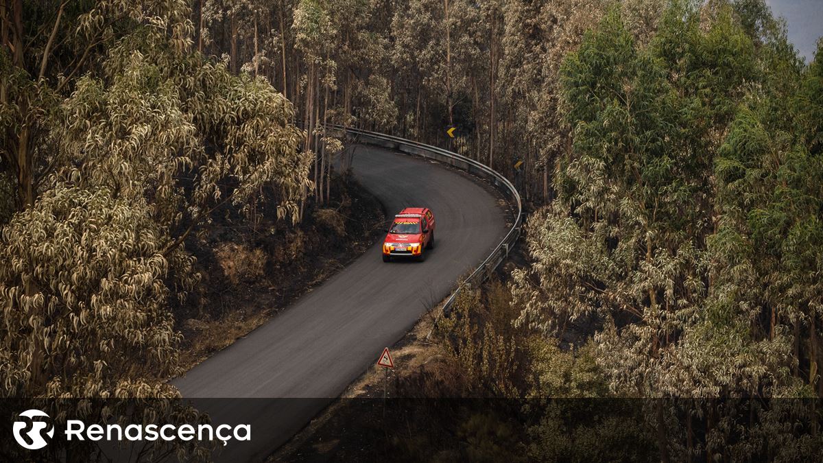 Proteção Civil alerta para riscos de inundações em zonas afetadas por incêndios