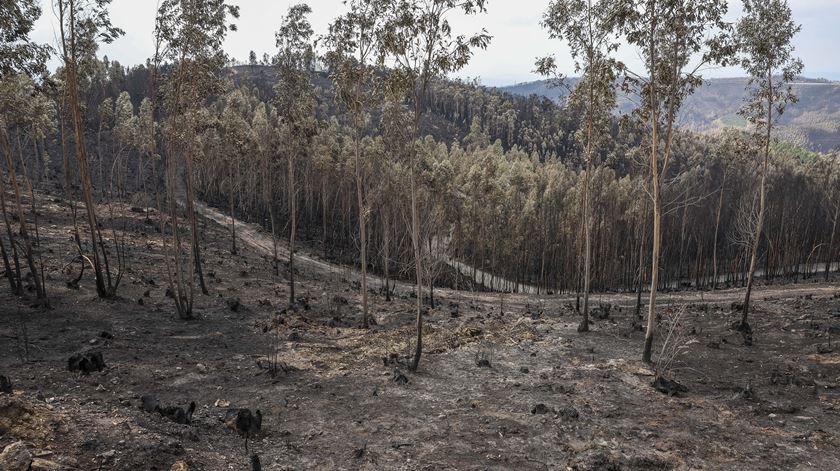 Intervenção de emergência para travar arrastamento de terras para o rio Vouga