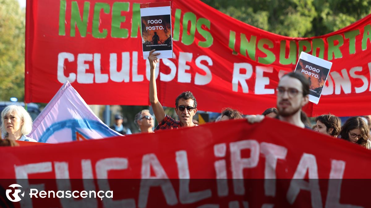 “Não basta dizer que se prendem os incendiários”. A floresta “precisa de um projeto”