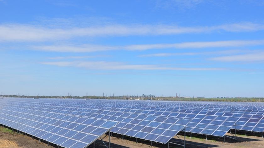Painéis de produção de energia solar, semelhantes ao que serão instalados em Sines. Foto: DR