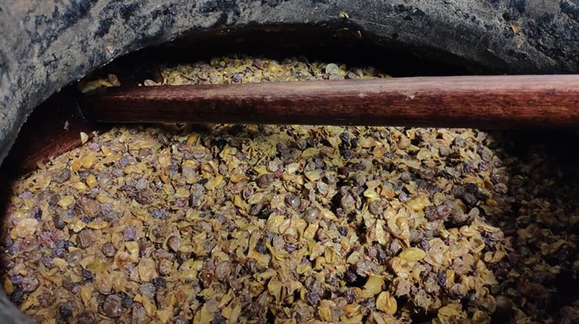 O vinho de Talha não passa por barricas de madeira nem tem adição de produtos. Foto: CM Vidigueira
