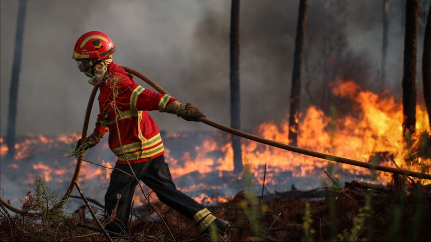 Ajuda internacional será "muito importante" na época de incêndios, defende especialista