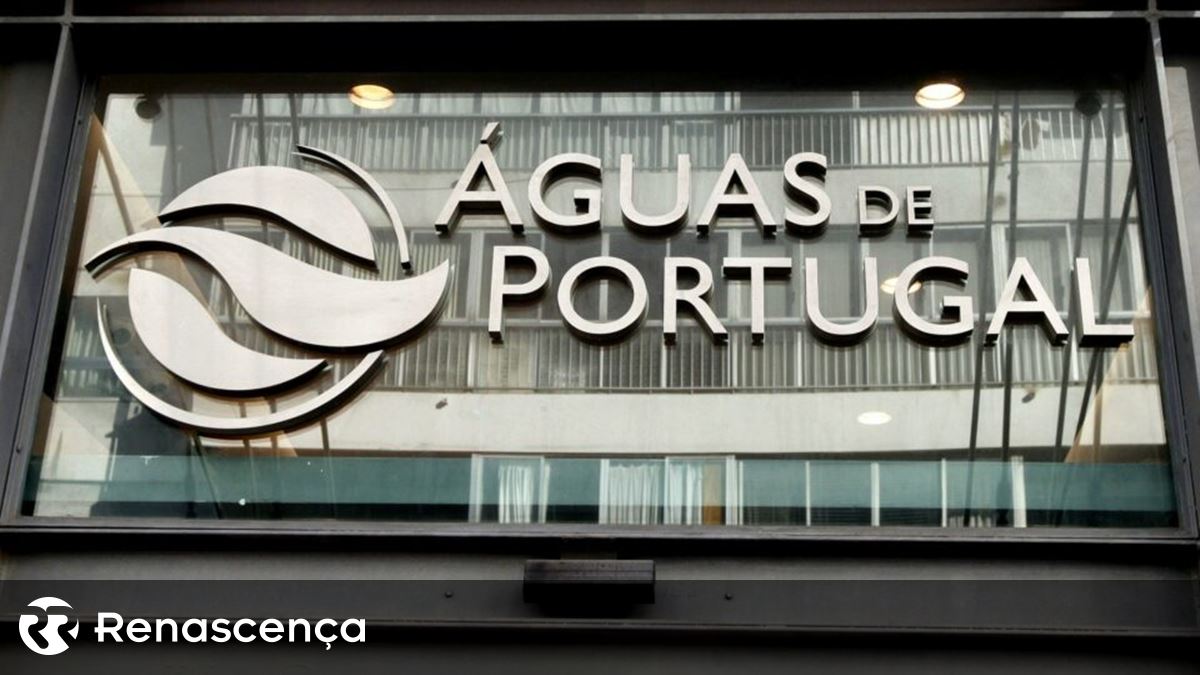 Presidente da Águas de Portugal demite-se