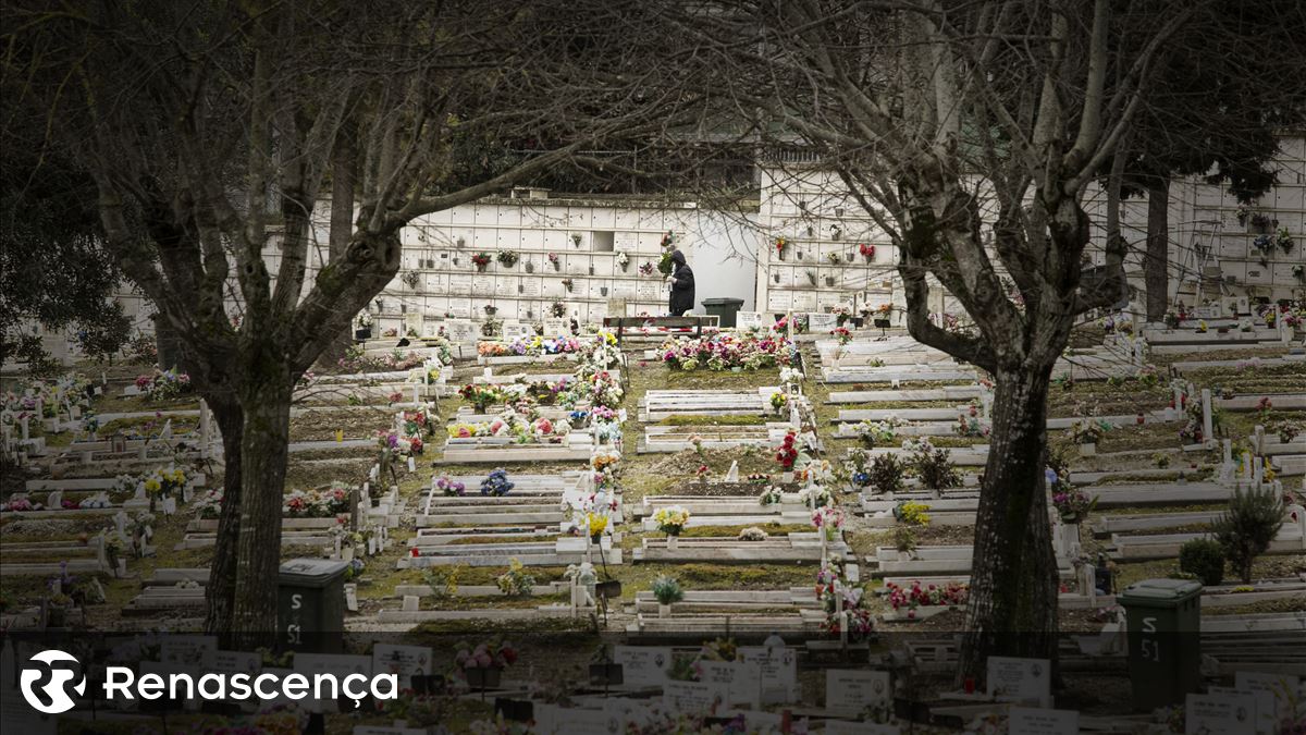 Junta exige à Câmara de Lisboa intervenção "urgente" no cemitério de Benfica