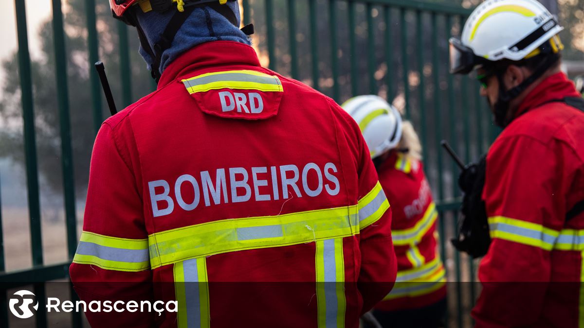 Incêndio em fábrica de películas para enchidos em Gaia