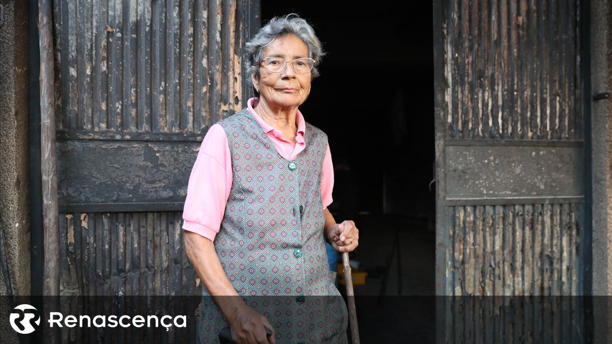 O fogo roubou-lhes teto e trabalho. Albergaria ainda está a acordar do pesadelo