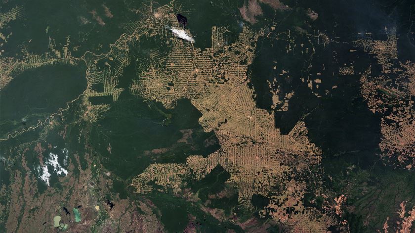 Imagem da SASA sobre a deflorestação da parte mais afetada da Amazónia, Rondónia, 2008 Foto: NASA