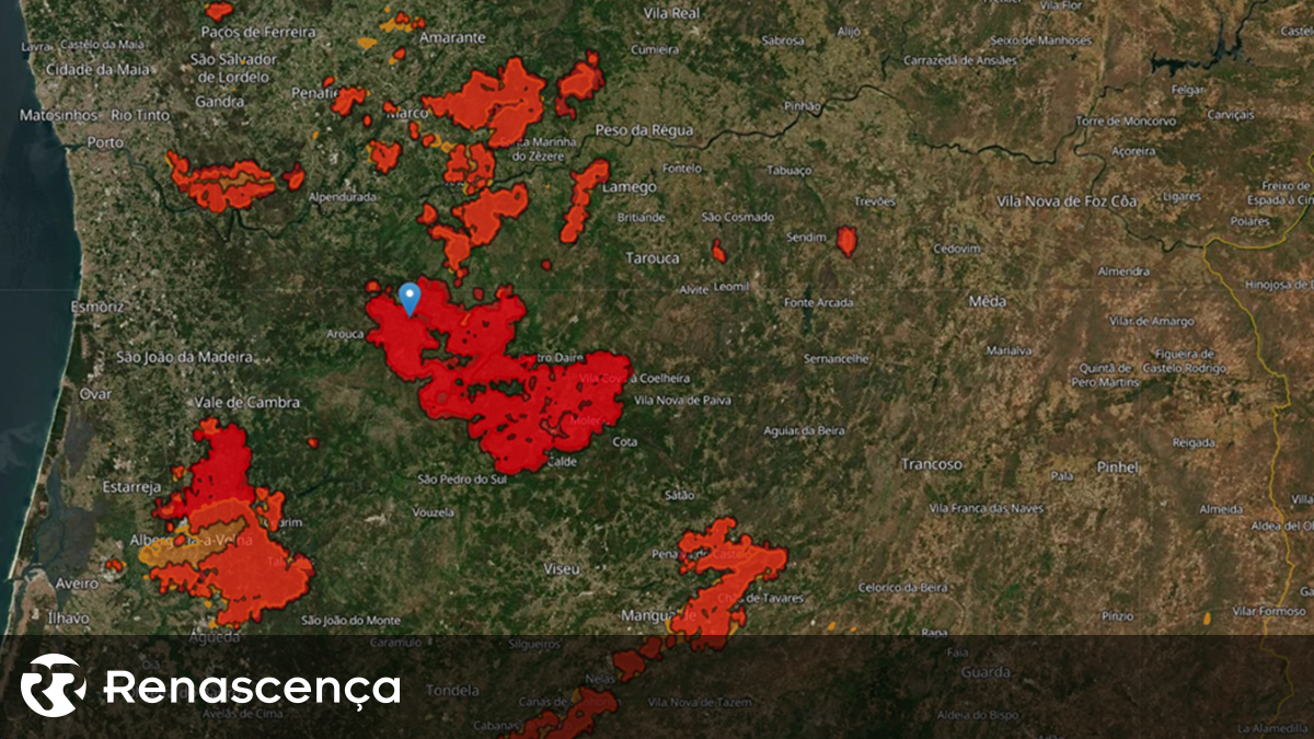 Quase 150 mil hectares de área ardida em 2024, o quarto pior ano da última década