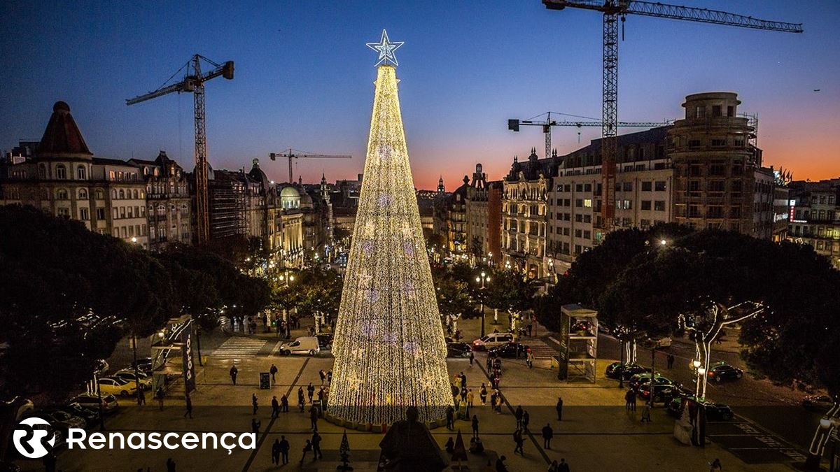 Avenida dos Aliados volta a ter árvore de Natal de 34 metros de altura -  Renascença