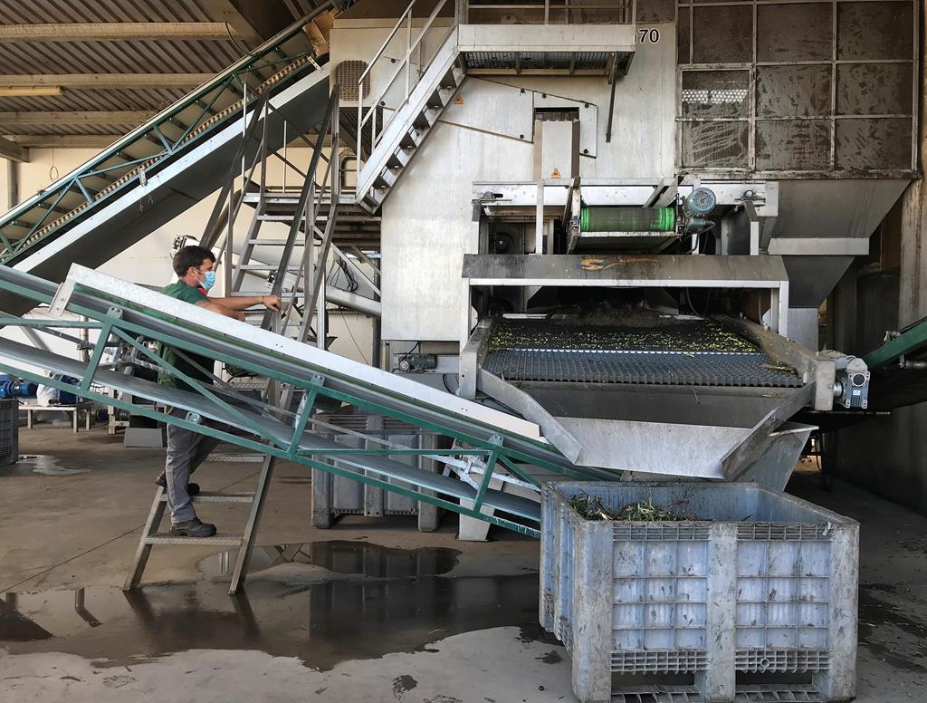 Unidade de produção de azeite. Foto Rosario Silva/RR