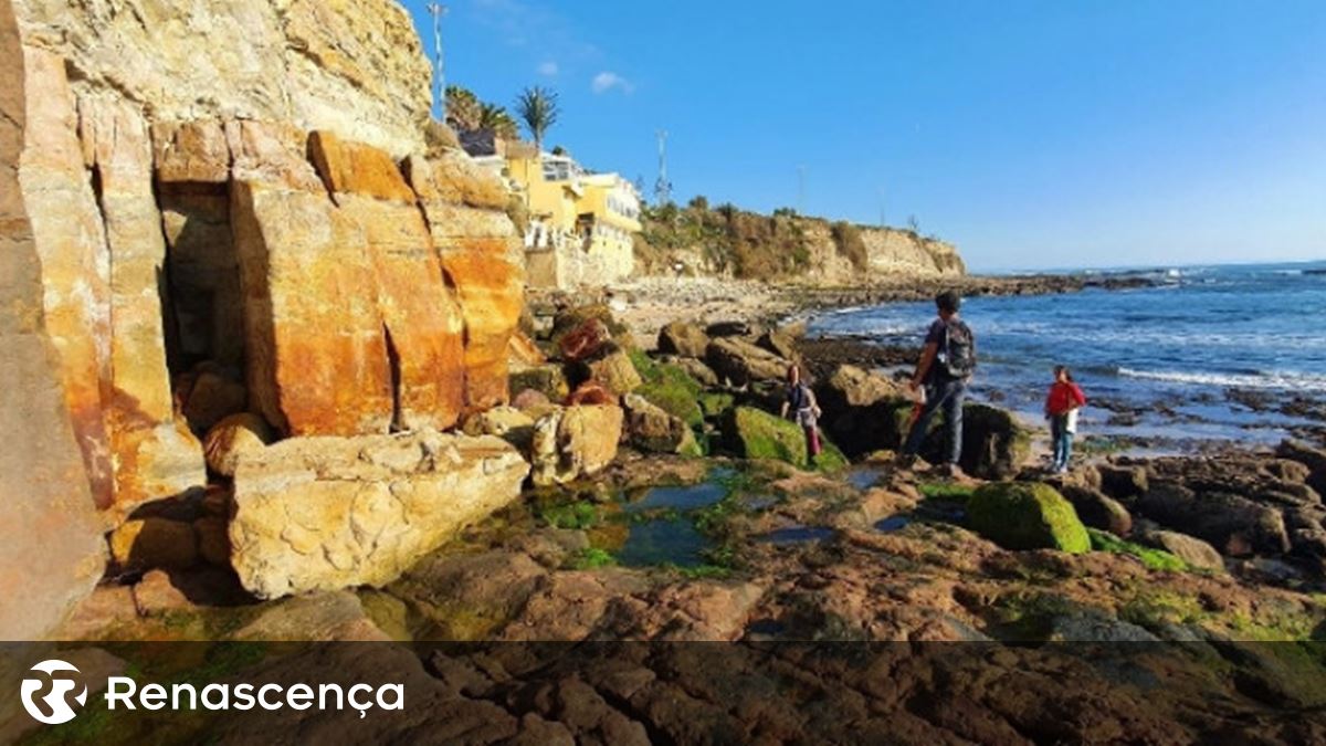 Risco de derrocada na Arriba da Bafureira motiva ação urgente da Câmara de Cascais