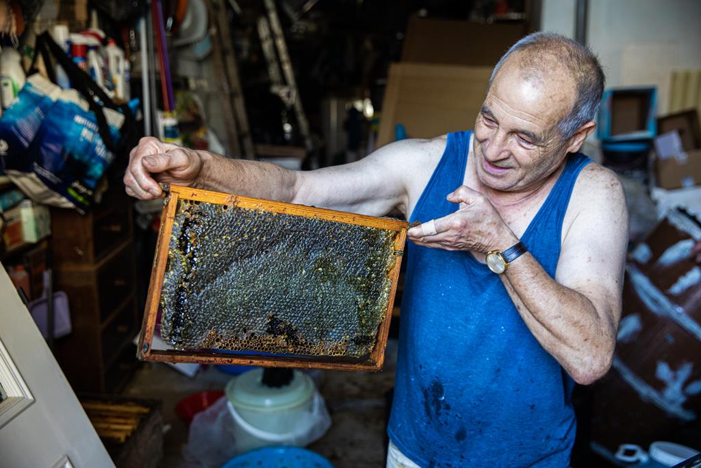 Manuel Martins, 70 anos, produz mel. Tem uma colmeia em Monsanto e só este ano conseguiu 50 litros. Foto: Ricardo Fortunato/RR