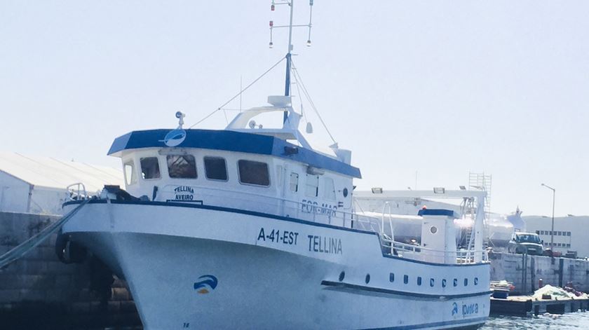 O Tellina, um dos barcos colocados à venda em hasta pública pelo IPMA. Foto: IPMA
