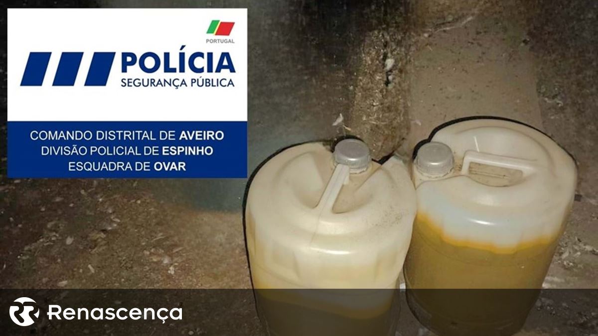 Encontrados bidões com combustível "dissimulados" junto a zona florestal em Ovar