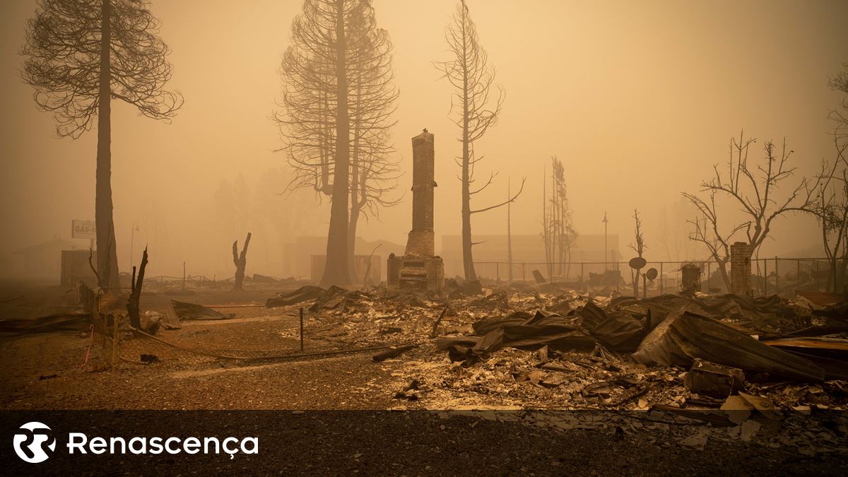 Incêndios florestais extremos duplicaram nos últimos 20 anos em todo o mundo