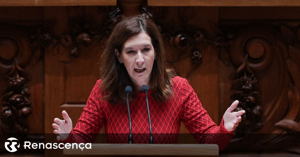 "Não é possível governar sem tentar encontrar pontes", avisa Cecília Meireles