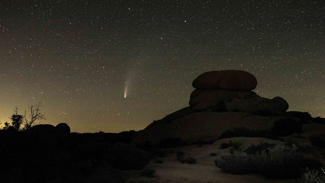 Cometa NEOWISE fotografado no Joshua Tree National Park, em Los Angeles, na Califórnia. Foto: Etienne Laurent/EPA