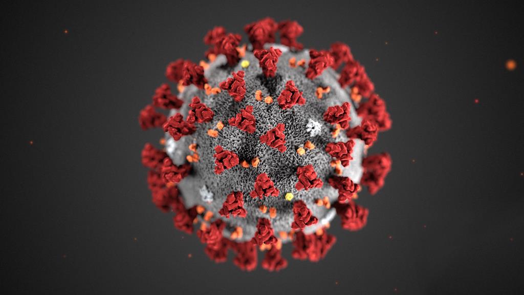 Novas variantes do coronavírus preocupam as autoridades. Foto: CDC Copy