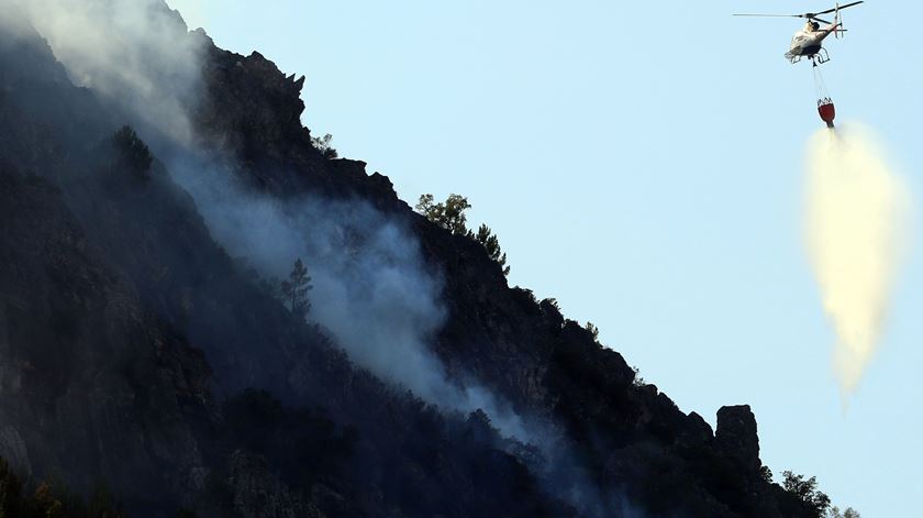 Governo alugou meios aéreos para combater incêndios de outubro. Pagamento já pode ser feito. Foto: António José/Lusa